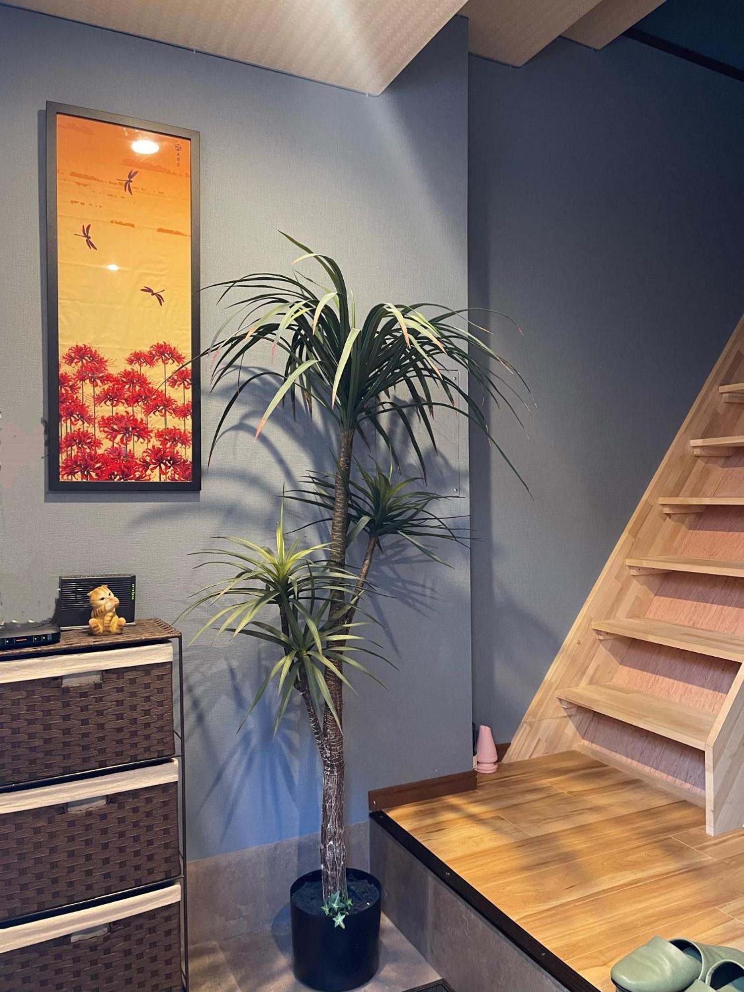 Namba Shinsaibashi 10 Mins Reiko Guest House Osaka Ngoại thất bức ảnh